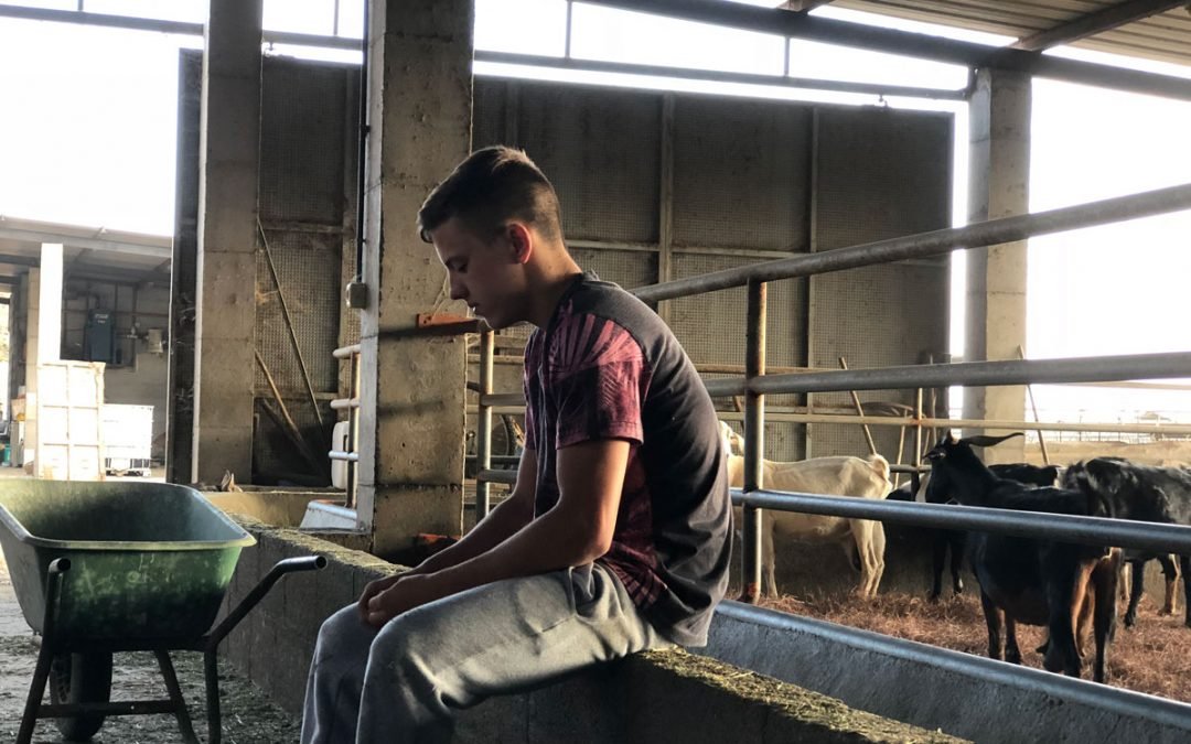 La noche del mediodía – Guillermo Paneque (Work in progress)