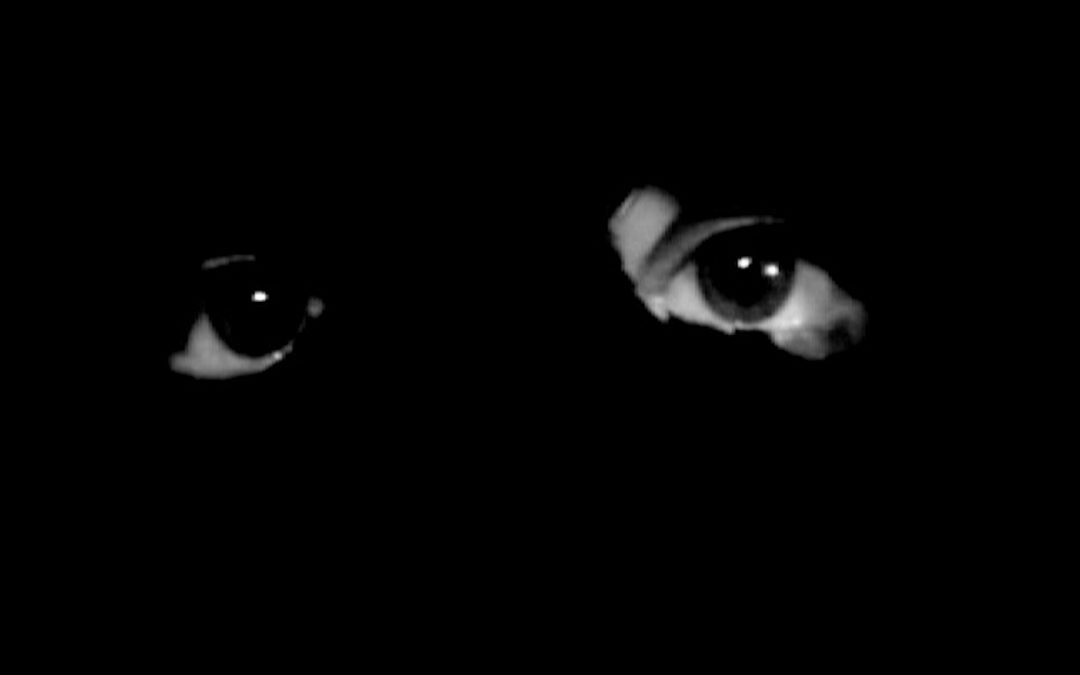 La piel contra la imagen – Guillermo Paneque (2011)